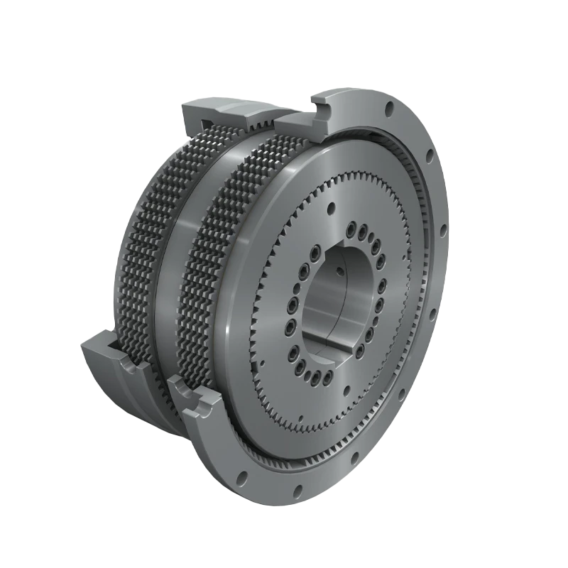 combinazione freno frizione dischi homberger