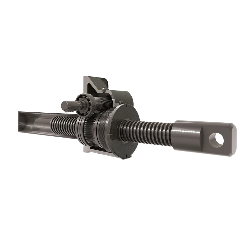 martinetti homberger