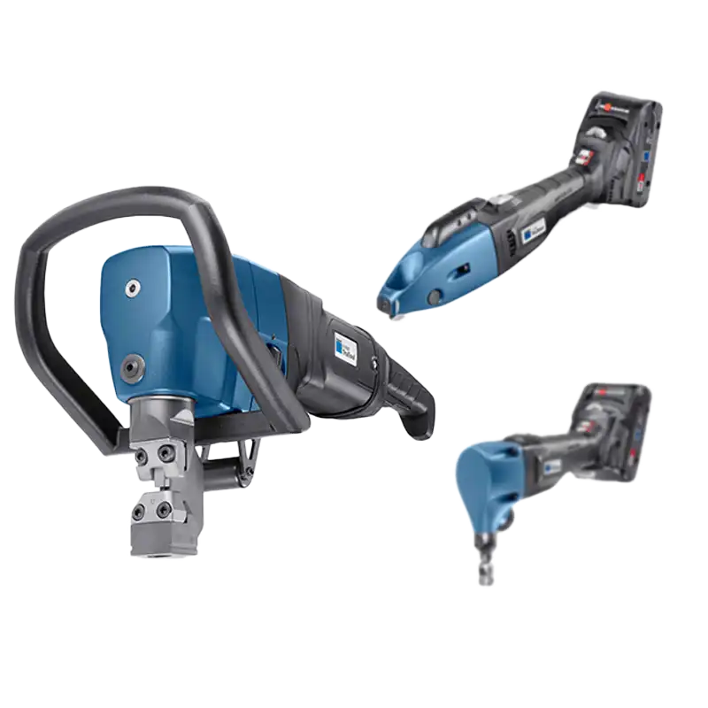 CATEGORIA CESOIE RODITRICI 1