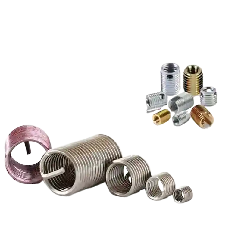 CATEGORIA FILETTI E BUSSOLE2