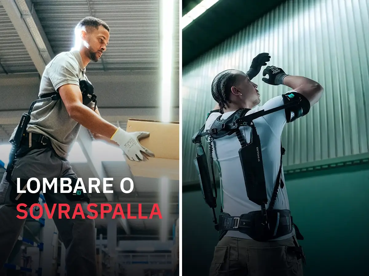 ESOSCHELETRO LOMBARE O SOVRASPALLA